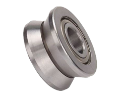 CON LĂN DẪN HƯỚNG